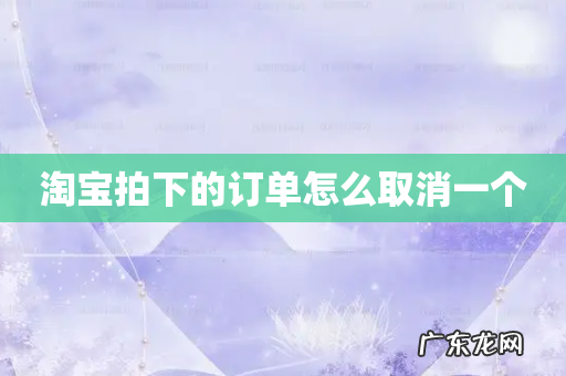 淘宝拍下的订单怎么取消一个