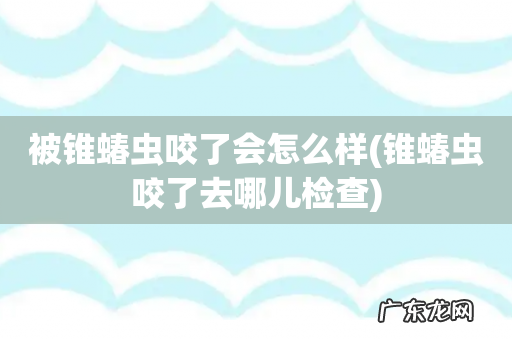 锥蝽虫咬了去哪儿检查 被锥蝽虫咬了会怎么样