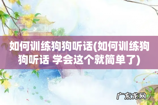 如何训练狗狗听话 学会这个就简单了 如何训练狗狗听话