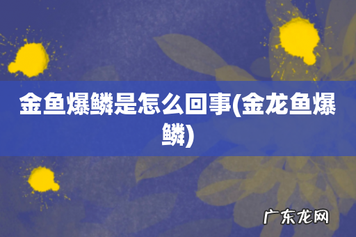 金龙鱼爆鳞 金鱼爆鳞是怎么回事