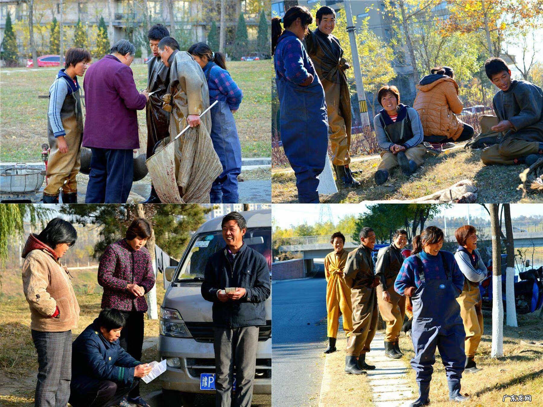 红虫养殖 红虫是什么东西