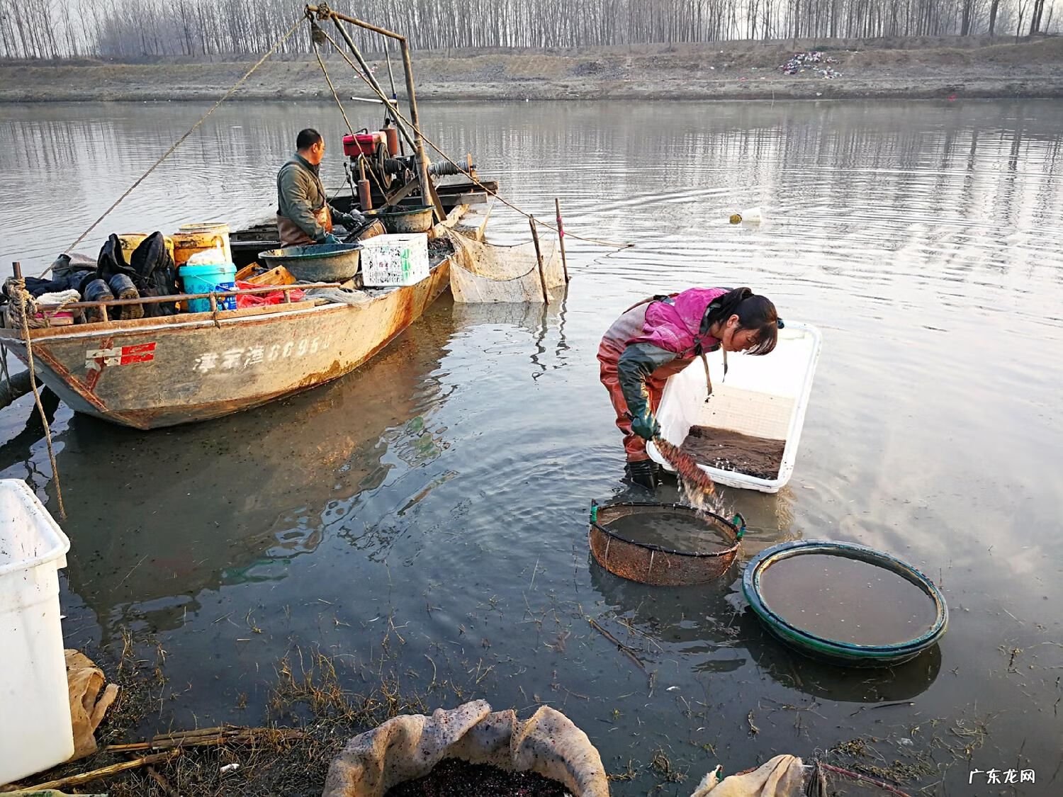 红虫养殖 红虫是什么东西