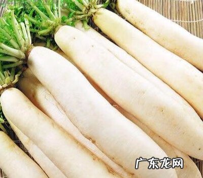 开胃菜是指什么意思 开胃菜的意思