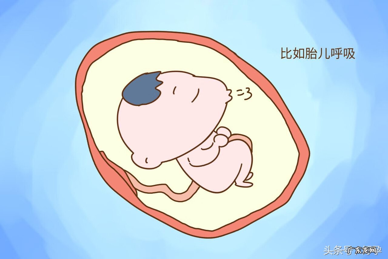 五个月胎动是什么感觉 最早几个月有胎动