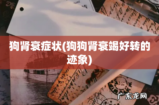 狗狗肾衰竭好转的迹象 狗肾衰症状
