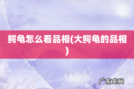 大鳄龟的品相 鳄龟怎么看品相