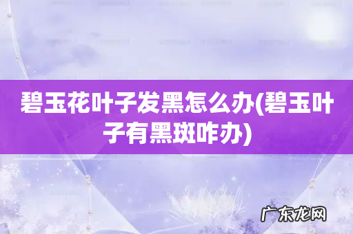 碧玉叶子有黑斑咋办 碧玉花叶子发黑怎么办