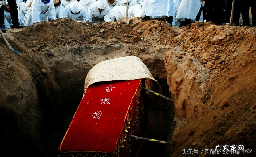 你知道哪些动物自救的方法 解救被困动物风水