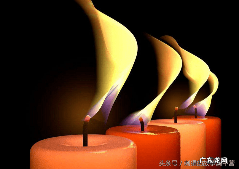 你知道哪些动物自救的方法 解救被困动物风水