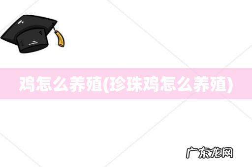 珍珠鸡怎么养殖 鸡怎么养殖