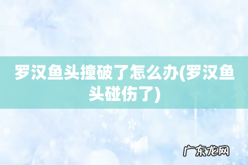 罗汉鱼头碰伤了 罗汉鱼头撞破了怎么办