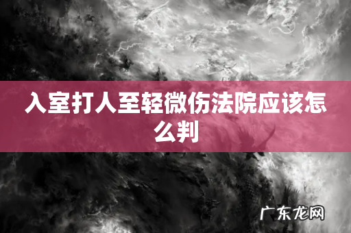 入室打人至轻微伤法院应该怎么判