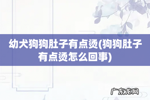 狗狗肚子有点烫怎么回事 幼犬狗狗肚子有点烫