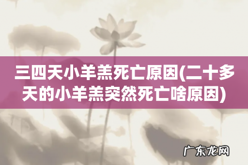 二十多天的小羊羔突然死亡啥原因 三四天小羊羔死亡原因