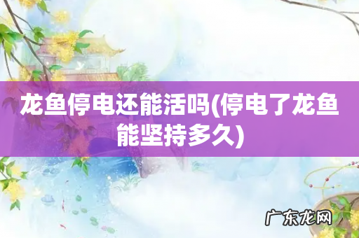 停电了龙鱼能坚持多久 龙鱼停电还能活吗