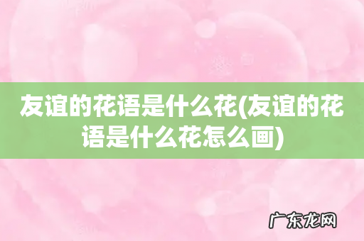 友谊的花语是什么花怎么画 友谊的花语是什么花