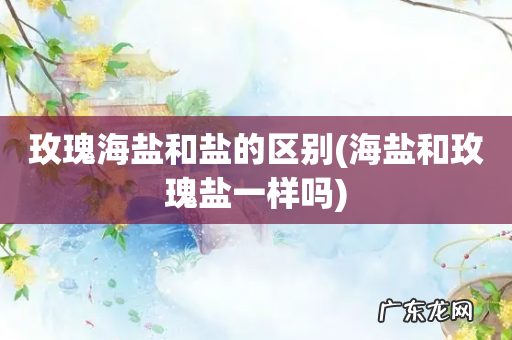 海盐和玫瑰盐一样吗 玫瑰海盐和盐的区别