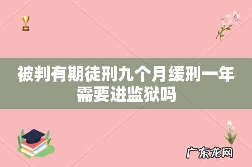 被判有期徒刑九个月缓刑一年需要进监狱吗