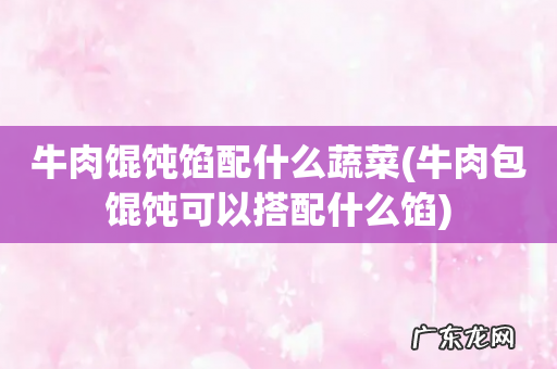 牛肉包馄饨可以搭配什么馅 牛肉馄饨馅配什么蔬菜