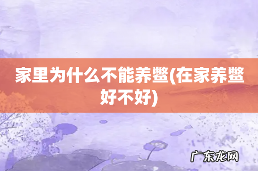 在家养鳖好不好 家里为什么不能养鳖