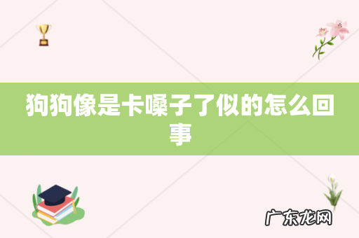 狗狗像是卡嗓子了似的怎么回事