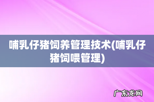 哺乳仔猪饲喂管理 哺乳仔猪饲养管理技术