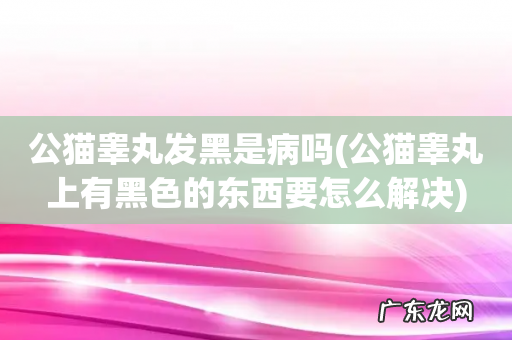 公猫睾丸上有黑色的东西要怎么解决 公猫睾丸发黑是病吗