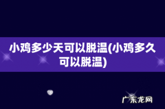 小鸡多久可以脱温 小鸡多少天可以脱温