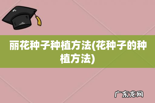 花种子的种植方法 丽花种子种植方法