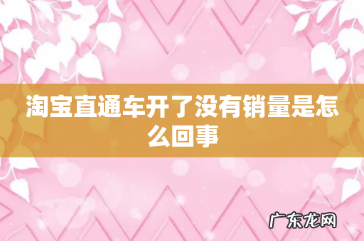 淘宝直通车开了没有销量是怎么回事