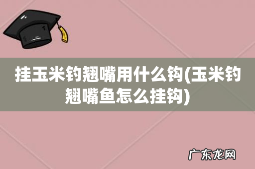 玉米钓翘嘴鱼怎么挂钩 挂玉米钓翘嘴用什么钩