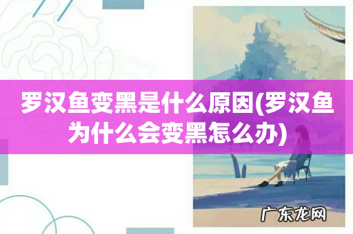 罗汉鱼为什么会变黑怎么办 罗汉鱼变黑是什么原因
