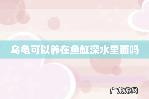 乌龟可以养在鱼缸深水里面吗