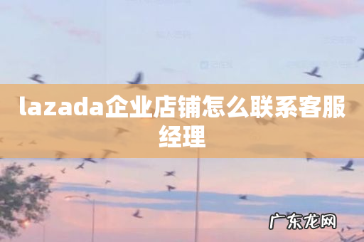 lazada企业店铺怎么联系客服经理
