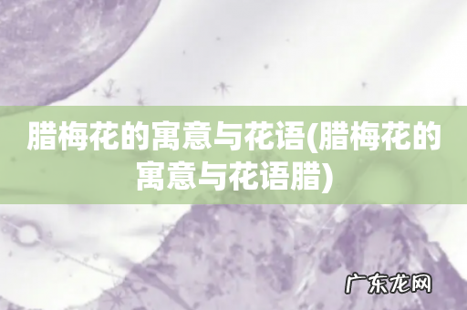腊梅花的寓意与花语腊 腊梅花的寓意与花语