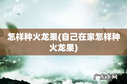 自己在家怎样种火龙果 怎样种火龙果