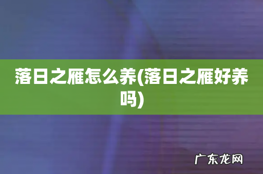 落日之雁好养吗 落日之雁怎么养