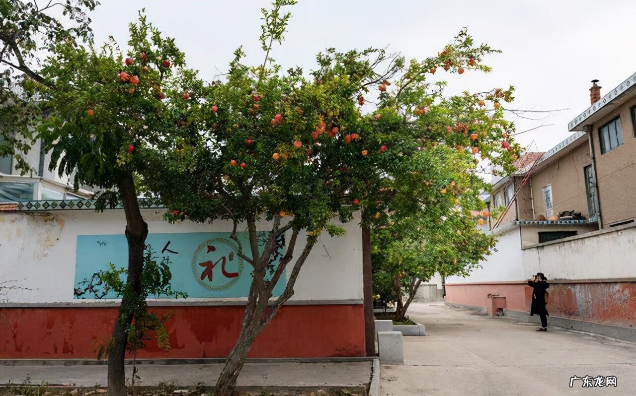 屋后种什么花风水好 房后栽什么花风水最好
