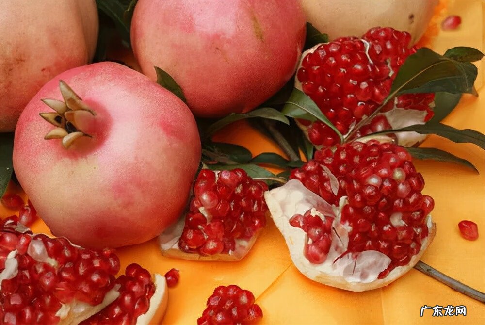 屋后种什么花风水好 房后栽什么花风水最好