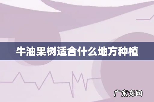 牛油果树适合什么地方种植