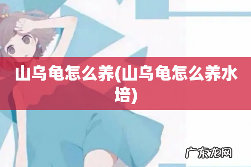 山乌龟怎么养水培 山乌龟怎么养