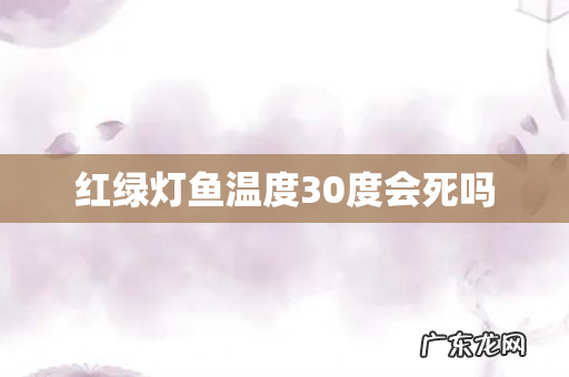 红绿灯鱼温度30度会死吗