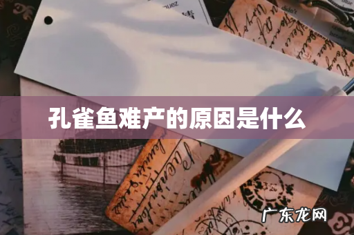 孔雀鱼难产的原因是什么