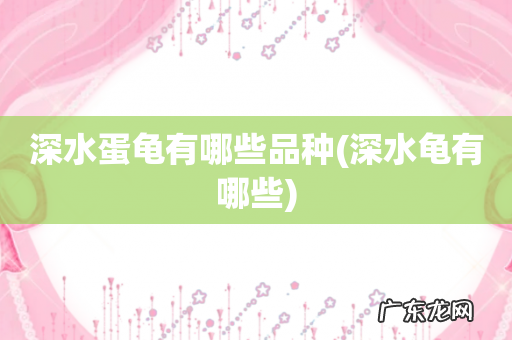 深水龟有哪些 深水蛋龟有哪些品种