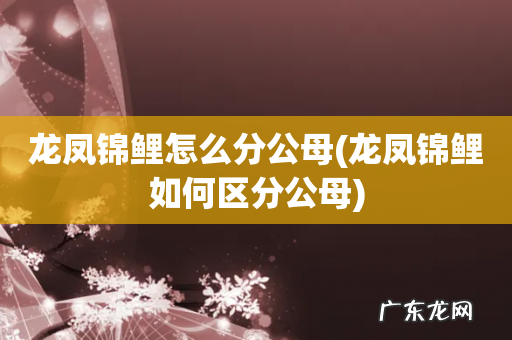 龙凤锦鲤如何区分公母 龙凤锦鲤怎么分公母