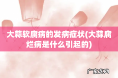 大蒜腐烂病是什么引起的 大蒜软腐病的发病症状