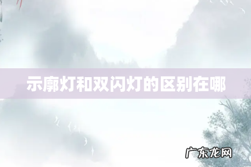 示廓灯和双闪灯的区别在哪