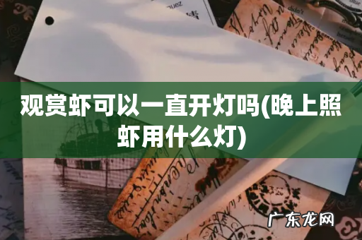 晚上照虾用什么灯 观赏虾可以一直开灯吗