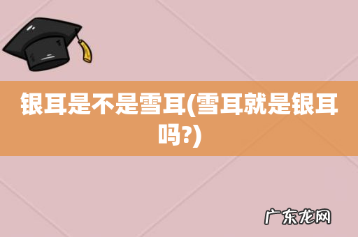雪耳就是银耳吗? 银耳是不是雪耳