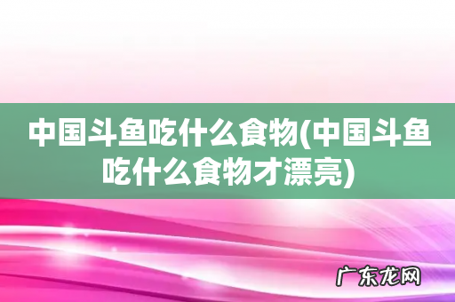 中国斗鱼吃什么食物才漂亮 中国斗鱼吃什么食物
